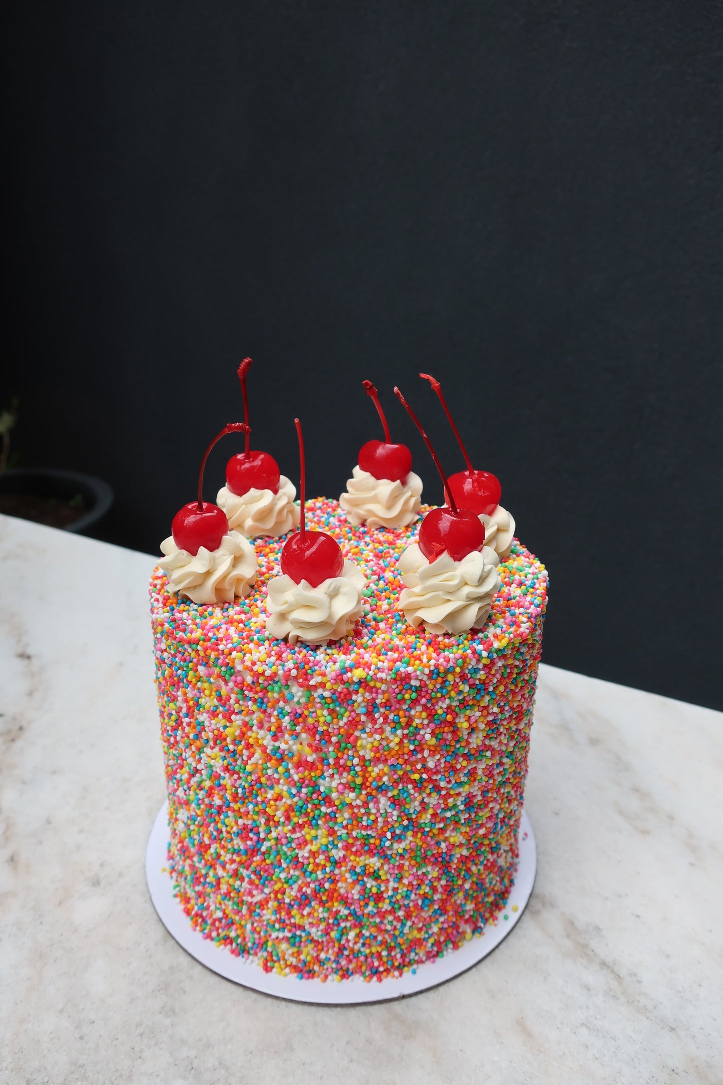 Fairy Bread Chocolate Cake