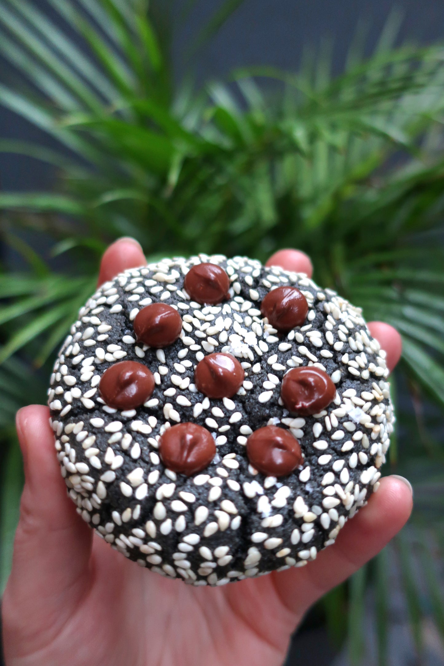 Black Sesame and Dark Choc Cookies