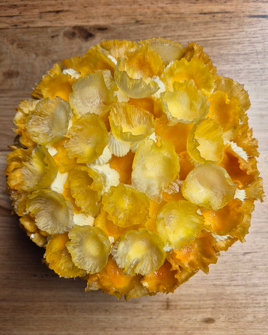 Pineapple and Lime Christmas Cake