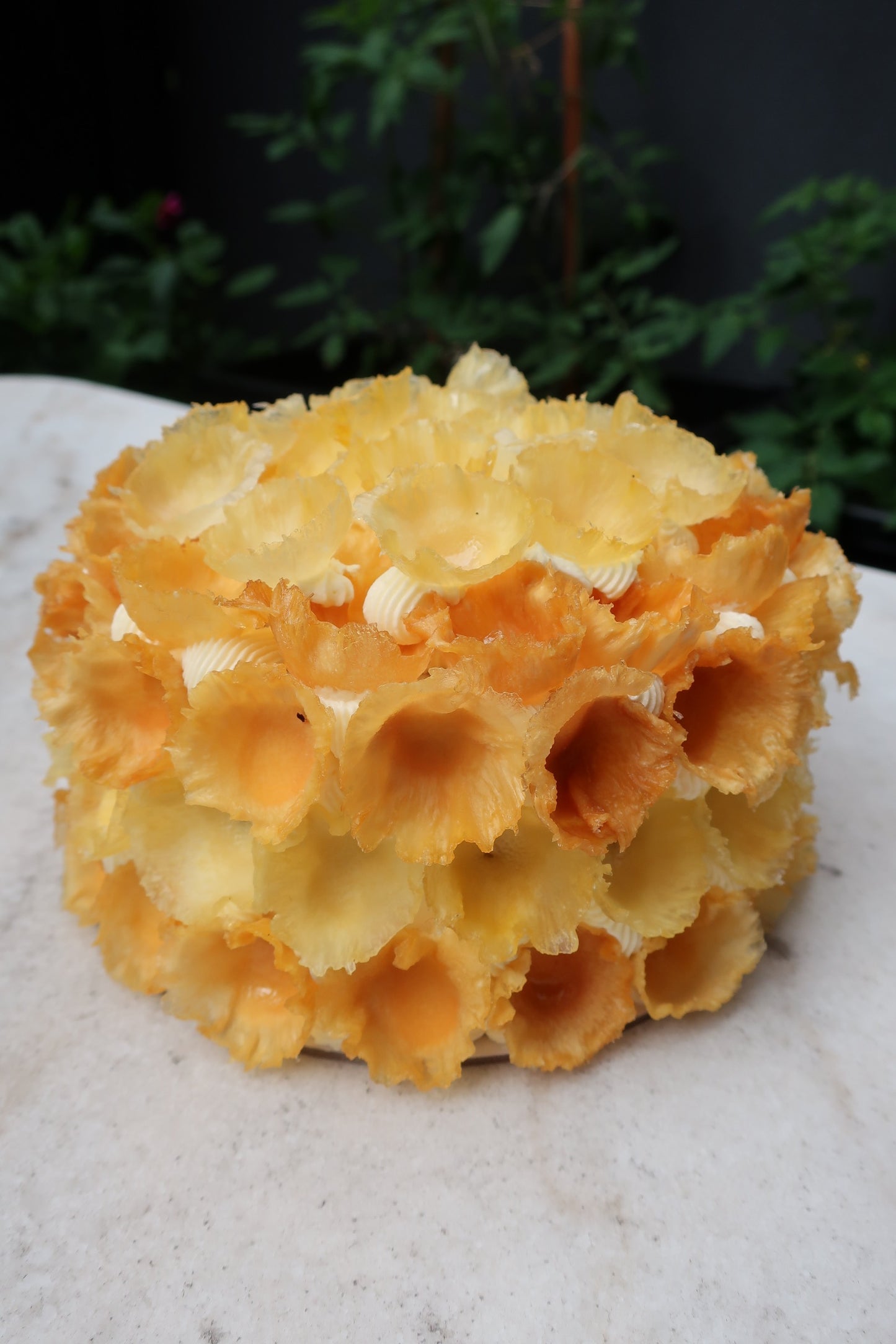 Pineapple and Lime Christmas Cake